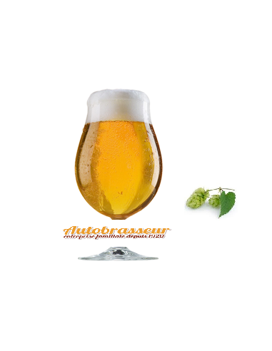 Breeze-barboteur à bière Outil de bouillonnement de conception simple  portatif de mousseur à bière pour les cadeaux Les bars de