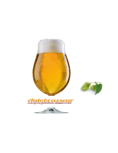 Breeze-barboteur à bière Outil de bouillonnement de conception simple  portatif de mousseur à bière pour les cadeaux Les bars de