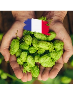 Brasser sa propre bière : Northern Brewers en cône (FR) 2023