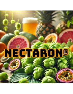 Brasser sa propre bière : Nectaron® (NZ) - SUPERDE-P90