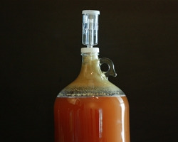 Brew Monk™ cuve de fermentation 55 l en inox • Brouwland
