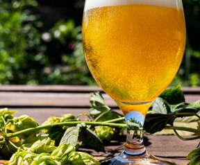 Recette de bière blonde